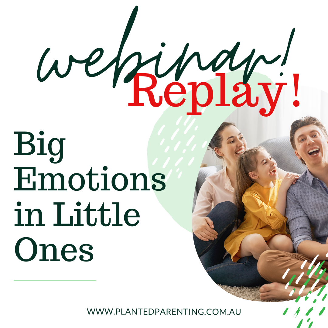 REPLAY Big Emotions in Little Ones - Interactive Webinar