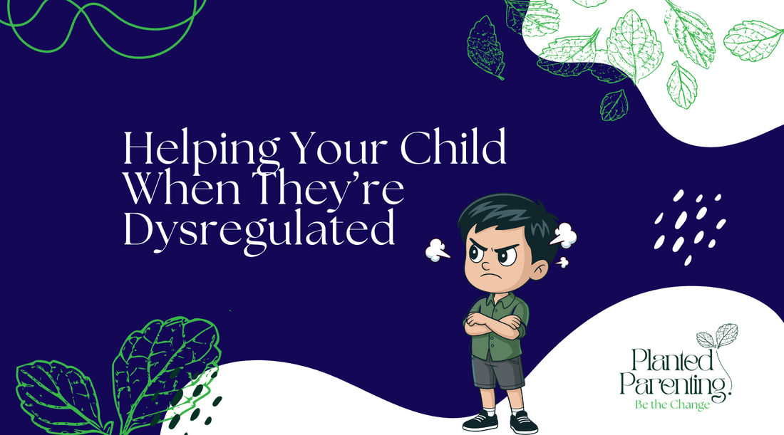 Helping Your Child When They’re Dysregulated